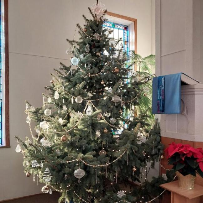 Tree from Neil  Mary Carter